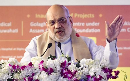 'Rahul Gandhi defaming India': Amit Shah on Youth Congress' shirtless protest at Delhi AI summit