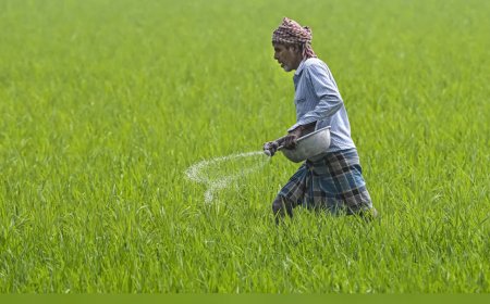 Scheme to reduce chemical fertiliser use remains a ‘non-starter’; no incentives released to states yet