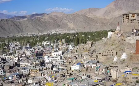 Ladakh bodies ask protesters to raise only approved slogans, not to cover face