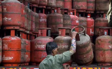 LPG panic booking eases, online orders up after crash