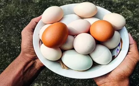 From April 1, UP egg producers must stamp expiry date