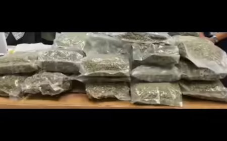 Delivery agent held at airport with hydroponic weed of Rs 8.5cr