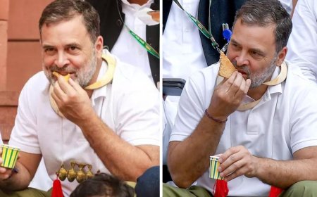 ‘Rahul Gandhi must apologise to the nation’: 204 retired officers, Army veterans and advocates slam LOP in open letter on Parliament conduct