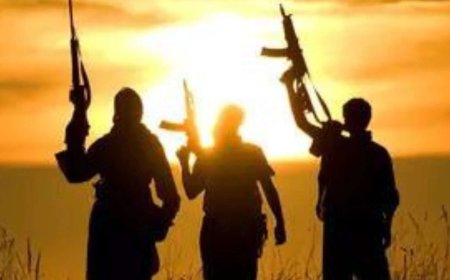 Terror group planned India hits, backed Myanmar rebels: Probe