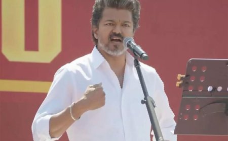 'Will not succumb to Delhi': TVK says Vijay rejected offer of 2.5-year CM term, 50% seats; party to contest all 234 constituencies