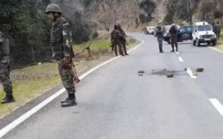 Search ops launched in 3 J&amp;K districts; GOC IX Corps visits Kathua