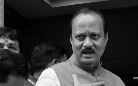 Fadnavis writes to Shah, seeks probe into Ajit Pawar's plane crash