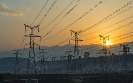 Power distribution companies in Delhi, Noida emerge top performers in government survey