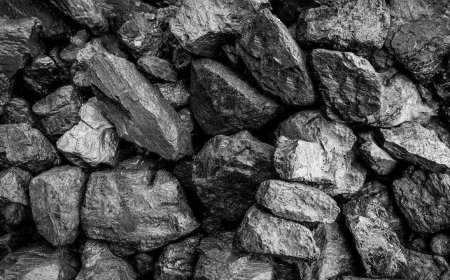 Adequate coal stocks to meet rising energy needs: Govt