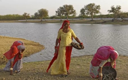 ​Blue saree brigade: Women at the heart of India’s water systems