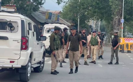 FIR against Pahalgam hotel for concealing stay of foreigners, mostly British