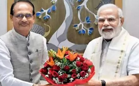 PM Modi not just a person but an idea, institution: Shivraj