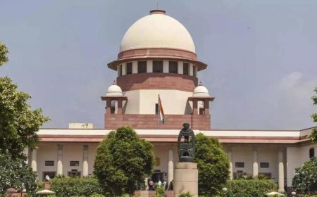 'Shameful to summon 3-year old': Supreme Court slams Haryana Police for 'insensitive' handling of child rape case