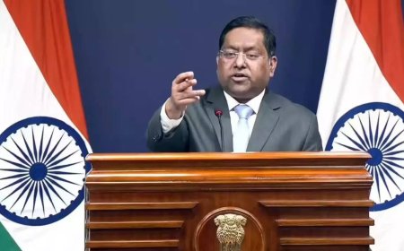 'Peddling lies and frivolous narratives': India rejects Pakistan remarks on banned terrorist organisation