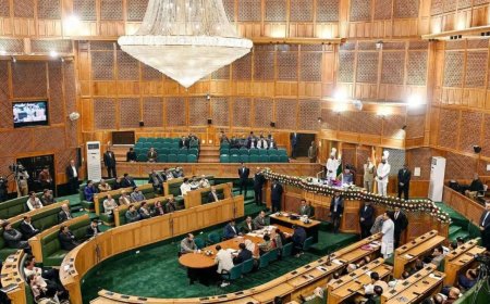 PDP MLA’s bill proposing new divisions, districts in J&amp;K faces flak from NC, BJP