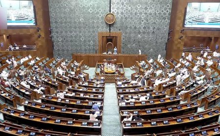 Parliament passes bill to amend transgender law; two members of council for TG persons quit in protest