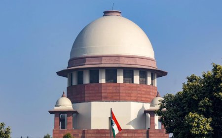 SC flags 'menace' of AI-generated fake judgments, cautions lawyers