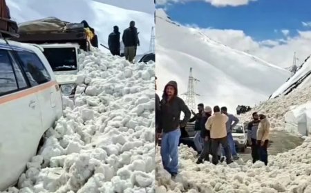 Avalanches at Zoji La pass: 7 killed, 5 injured in Ladakh; Srinagar-Leh highway blocked