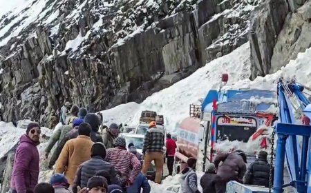 7 killed as multiple avalanches hit Srinagar–Leh national highway, several vehicles trapped under snow - top developments