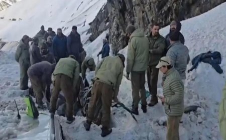 7 killed as avalanche buries several vehicles at Zojila Pass