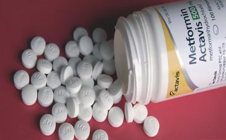 Diabetic drug metformin found to act on brain