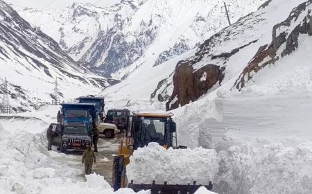 After Zoji La avalanche deaths, Ladakh hill council stakes claim on Zero Point