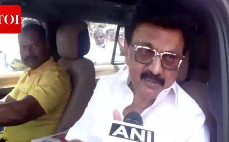 'Victory margin will be very big this time,' says Tamil Nadu CM Stalin; files nomination from Kolathur constituency