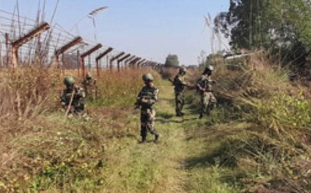 Two BSF personnel injured in assault in J-K's Samba