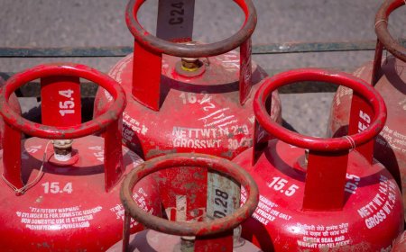 Nearly 3 lakh PNG connections added in March: Govt