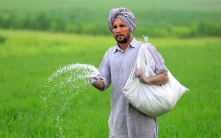 Urea output drops to 18L tonnes from 24L due to West Asia conflict