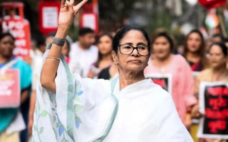 'Consider me your candidate in all 294 seats': Mamata Banerjee's pitch in Bengal battle