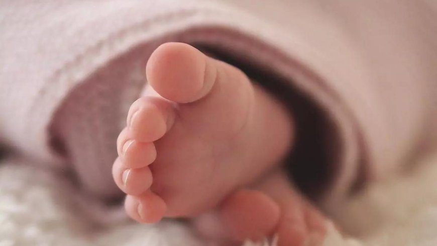 Six lakh babies born with anomalies each year, but no national registry to track them