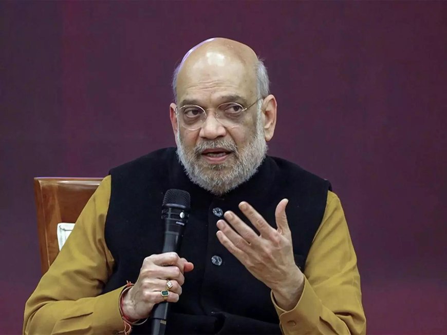 Amit Shah unveils mascots ‘Pragati’ and ‘Vikas’ for India’s first digital Census