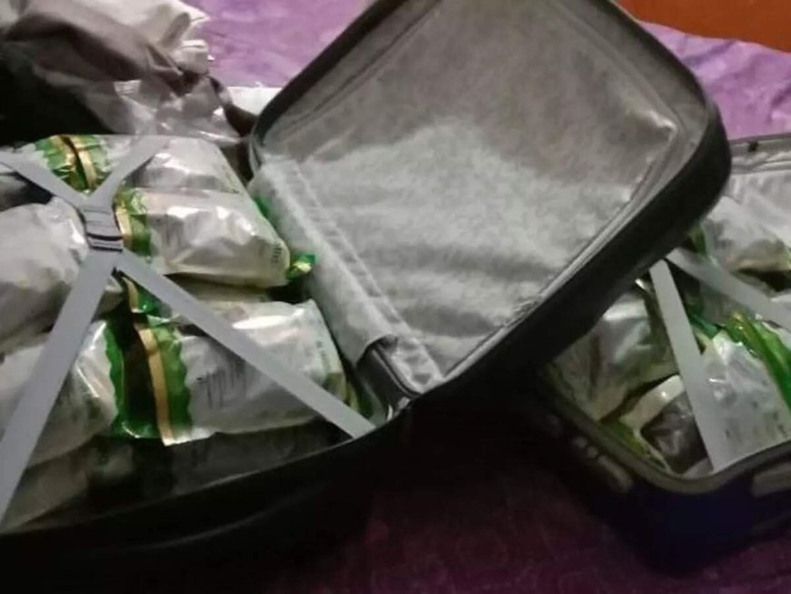 Kingpin of reptile smuggling racket held in Kanpur