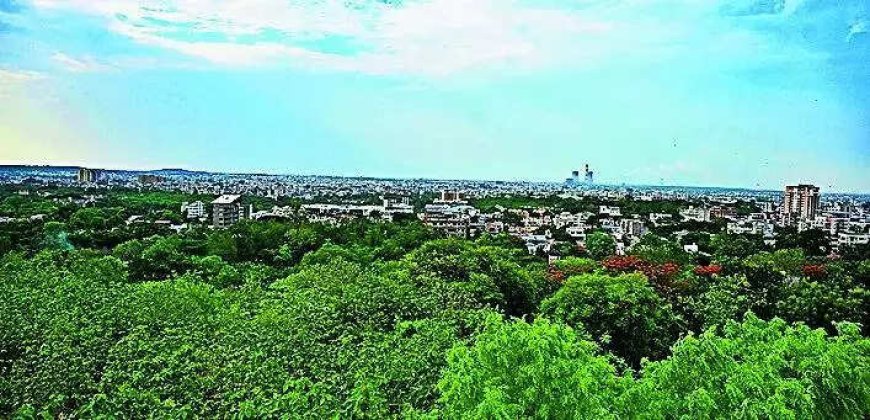 Government moots central body to curb green nod delay