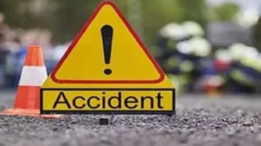Cop, wife die as car falls into stream in J&amp;K’s Doda