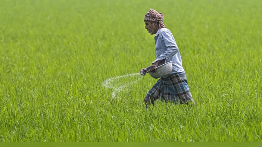 Scheme to reduce chemical fertiliser use remains a ‘non-starter’; no incentives released to states yet