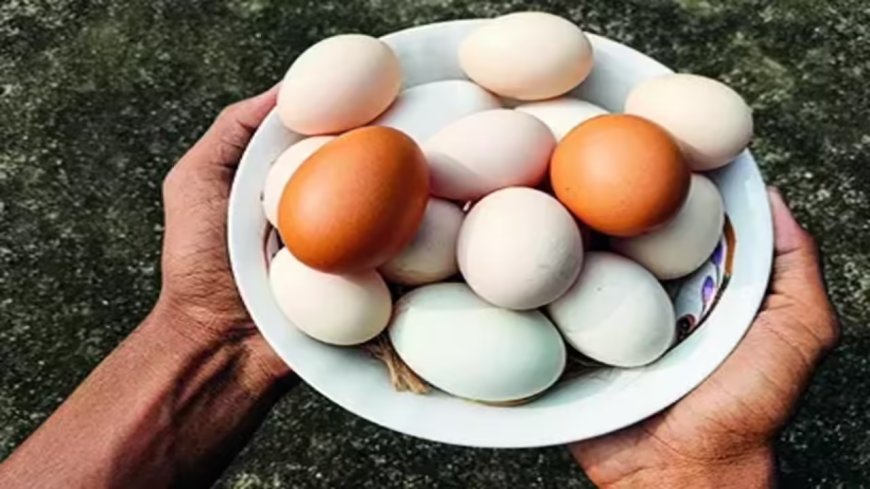 From April 1, UP egg producers must stamp expiry date