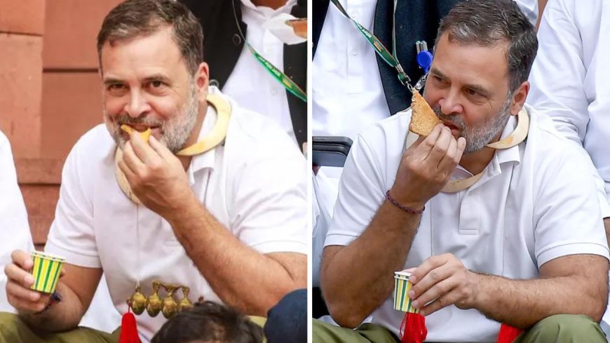 ‘Rahul Gandhi must apologise to the nation’: 204 retired officers, Army veterans and advocates slam LOP in open letter on Parliament conduct