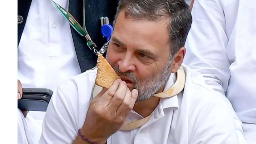 Retired officials demand Rahul Gandhi's apology over Parliament protest