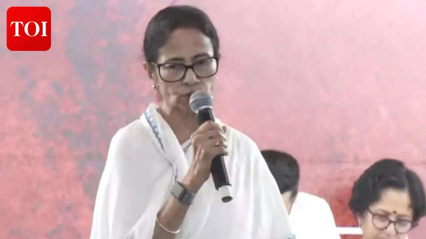 'Fighter Didi' teaser casts Mamata as Bengal's lone shield, signals TMC's battle pitch for polls