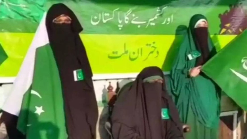 'Hatched conspiracy to secede Kashmir from India': Why J&amp;K separatist Asiya Andrabi got life term in UAPA case