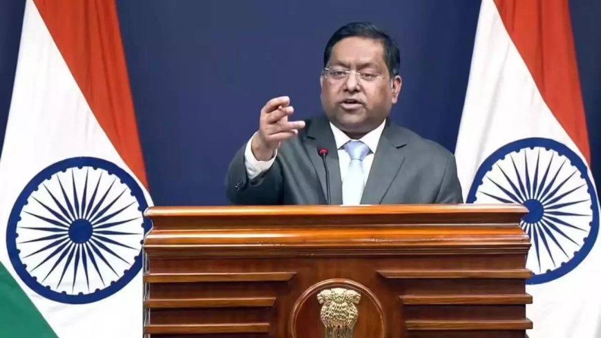 'Peddling lies and frivolous narratives': India rejects Pakistan remarks on banned terrorist organisation