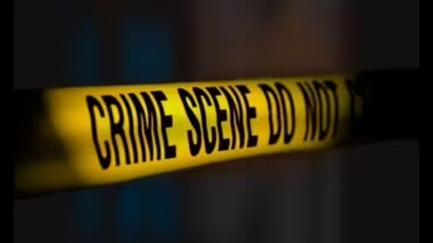 Karnataka: Husband slits wife's throat, drives off; onlookers record video