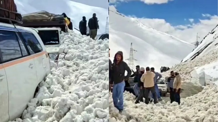 Avalanches at Zoji La pass: 7 killed, 5 injured in Ladakh; Srinagar-Leh highway blocked