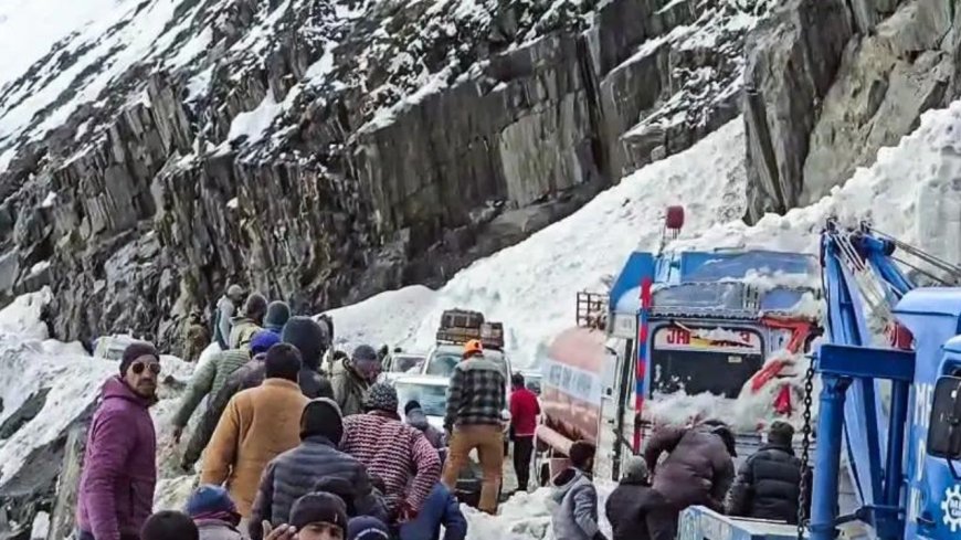 7 killed as multiple avalanches hit Srinagar–Leh national highway, several vehicles trapped under snow - top developments