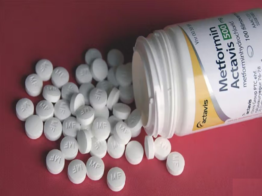 Diabetic drug metformin found to act on brain