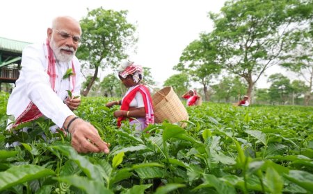 PM Modi visits Assam tea garden, plucks leaves, takes selfies with workers, calls it 'memorable experience'