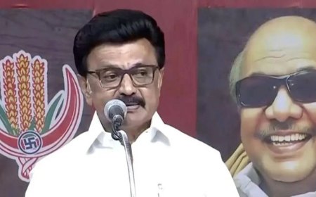 Olympic academy, Rs 2,000 aid for women, pumpsets for farmers: DMK's big poll pitch ahead of Tamil Nadu elections