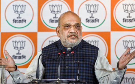 'Bengal welcomes tourists with open arms': TMC jibes at Amit Shah with fish, meat menu ahead of 15-day visit